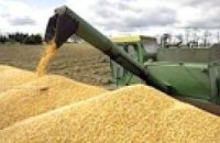 Украина в этом году экспортирует около 17 млн. тонн зерна
