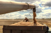 Ukraine’s agricultural sector: threat to European farmers or strategic partner?