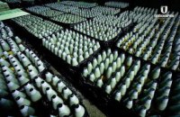 Can Ukraine become the arsenal of democracy?