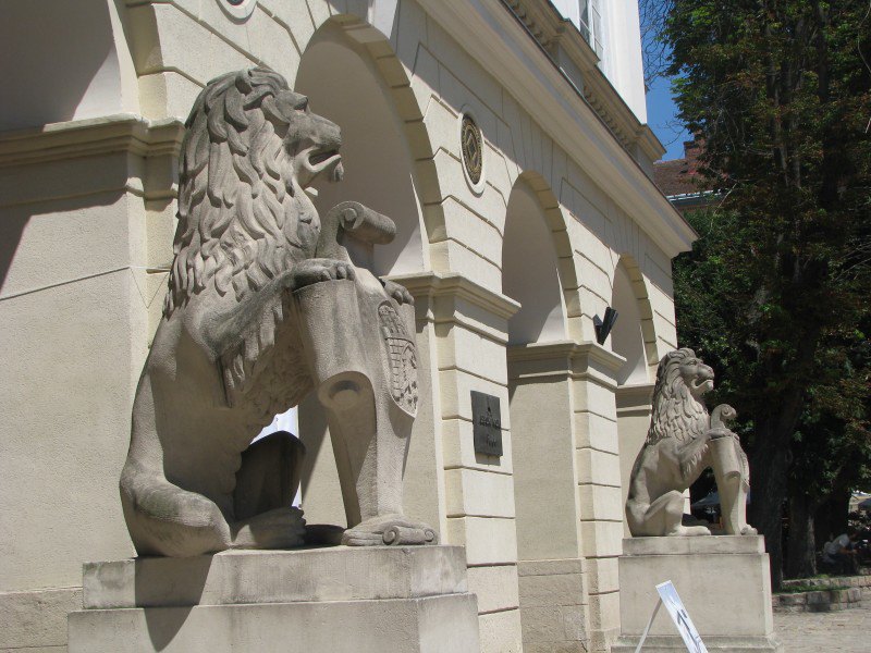 Lions at the entrance to Lviv City Hall