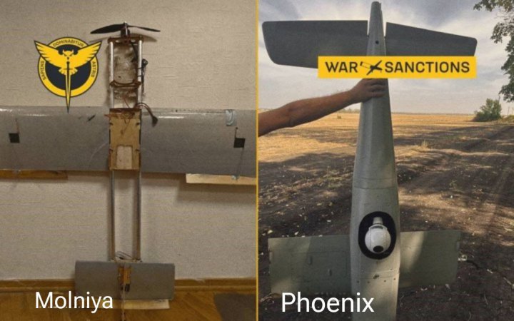 DIU publishes list of Western components in Russian Molniya, Phoenix drones 