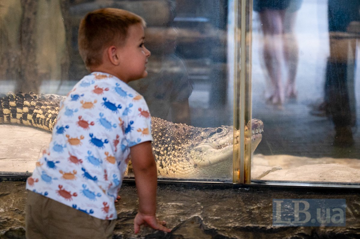 Little visitor to the zoo