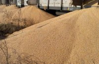 IPF: Ukraine's agricultural exports do not significantly affect decline in grain prices in Poland