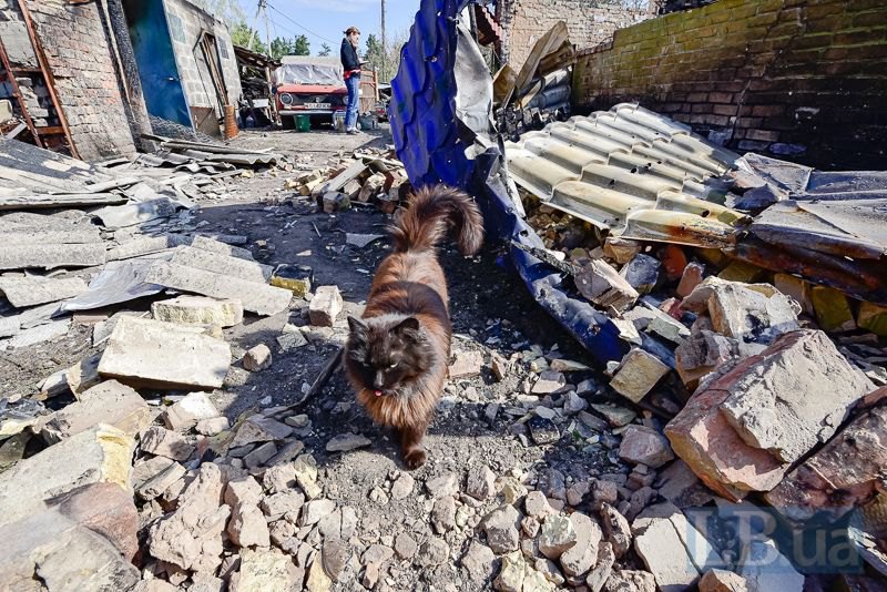 2 cats, a dog, and some chickens in Valentyn’s yard have survived the shelling 