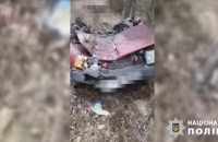 A Russian tank crushed a car with a child in the Zaporizhzhia region