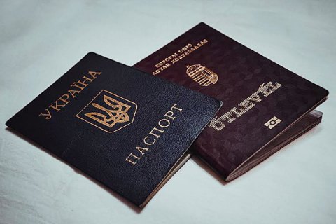 Ukrainian president files bill prohibiting dual citizenship
