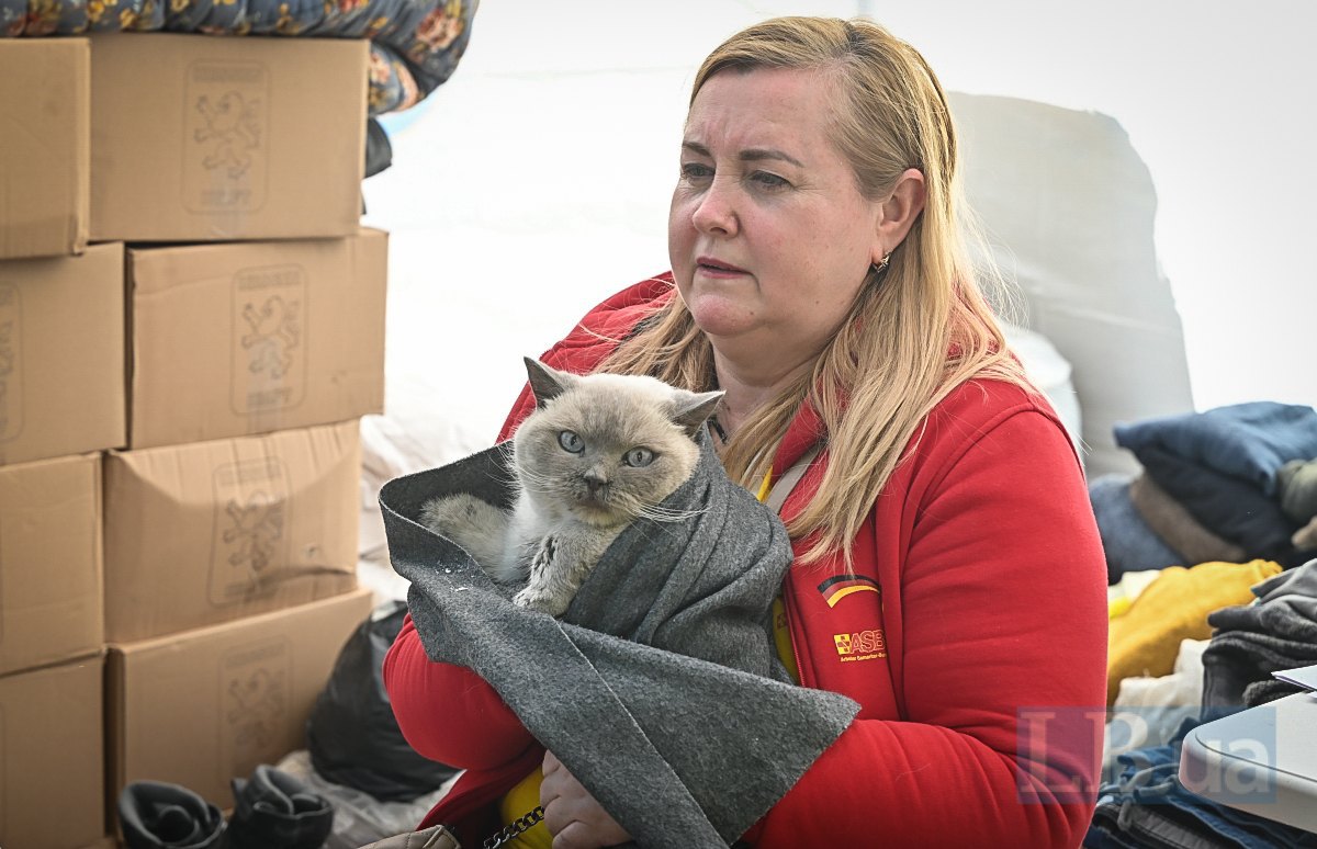 Simba the cat was rescued from the rubble of a five-storey building in Kyiv. His family is in hospital.