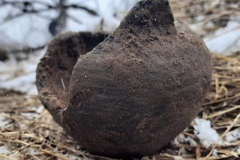 Territorial Defense discovers bronze age artifact while digging trenches in the Dnipro region