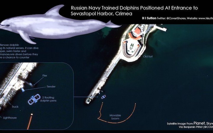 The Guardian: russia has deployed military dolphins at Navy base in Black Sea