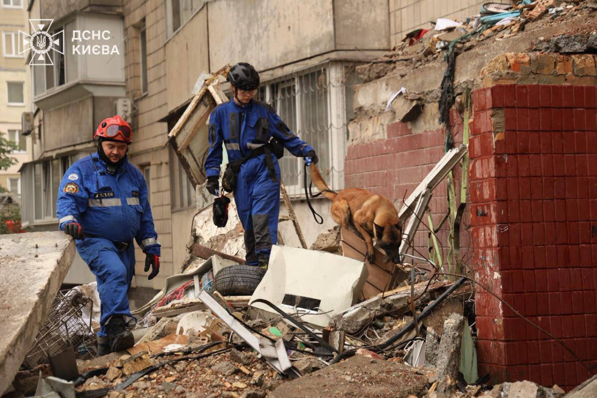  Dog handlers at the scene of the shelling in Kyiv, 6 July 2026