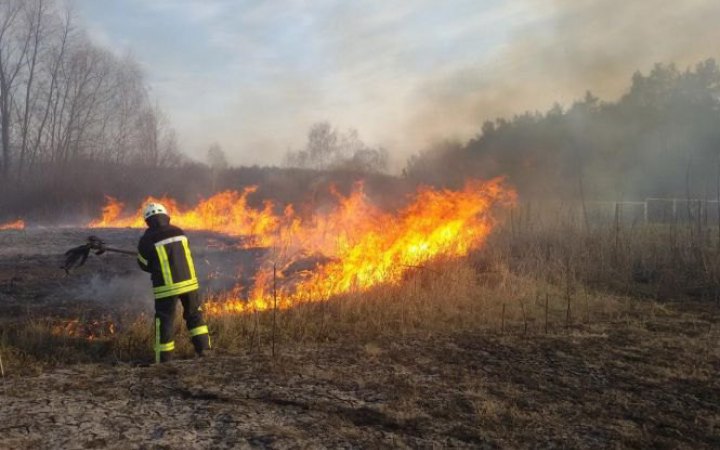 No contact with local rescuers for two days as 800 ha of forest on fire in Kherson Region