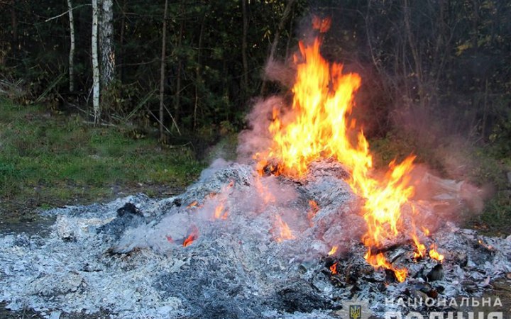 Zhytomyr Region: Police seize 60 kg of drugs, 6,000 drug plants 