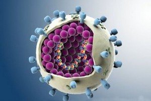Pandemic "swine flu" strain back to Ukraine - immunologist