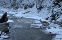 The Eternity Man: Transcarpathian Infinity