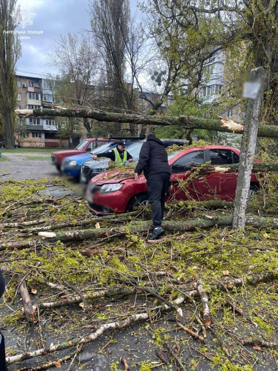 Consequences of squalling winds in the Kyiv Region