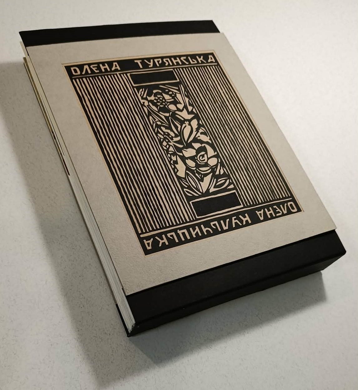  Olena Turyanska’s art book