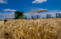 Over 86% of Ukrainians oppose foreigners’ access to farmland market - survey