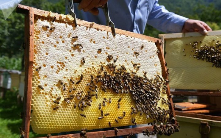 Hungary bans imports of Ukrainian honey, meat products until 30 June