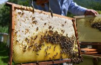 Hungary bans imports of Ukrainian honey, meat products until 30 June