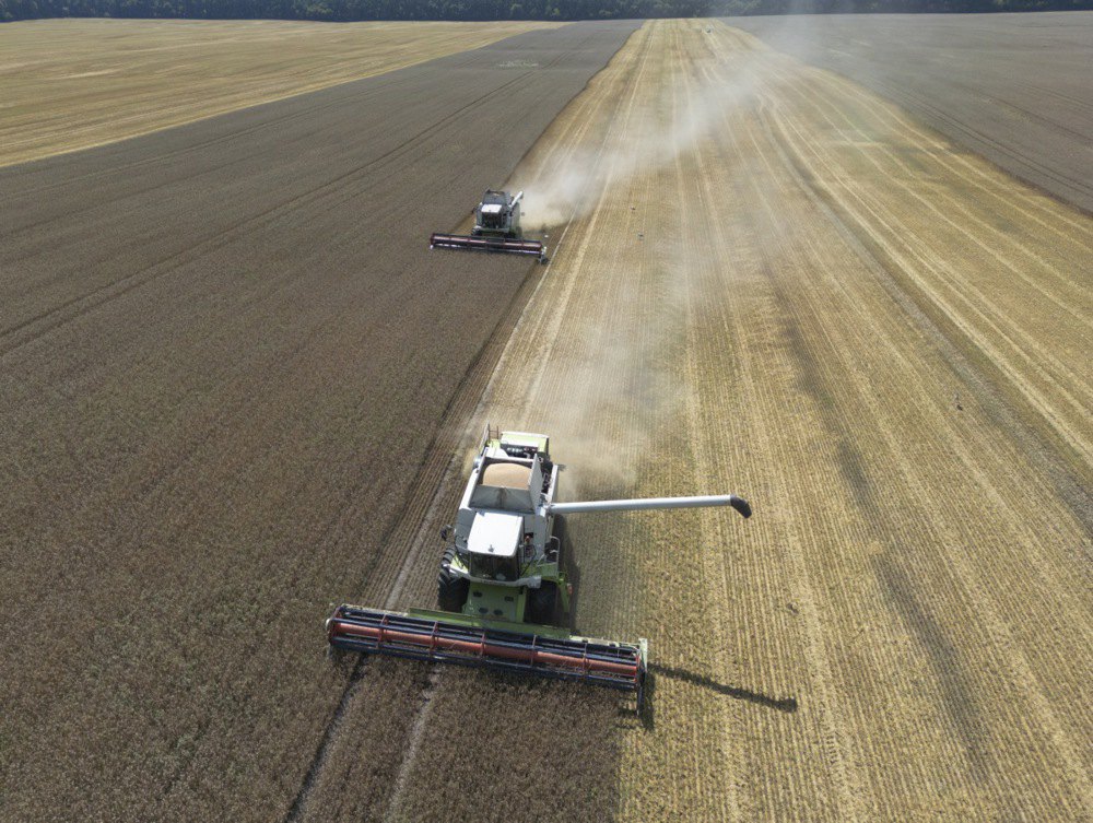 Harvest in Kyiv Region, 3 August, 2025.