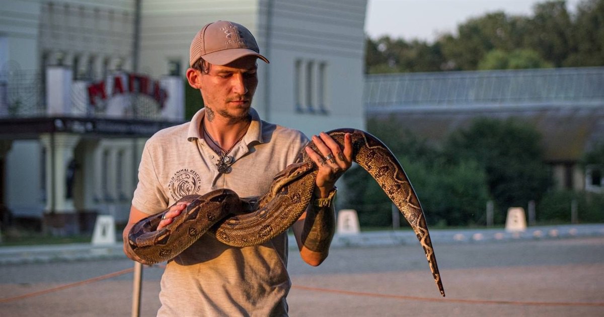 Before the full-scale invasion, Oleksiy was doing what he loved — protecting animals.