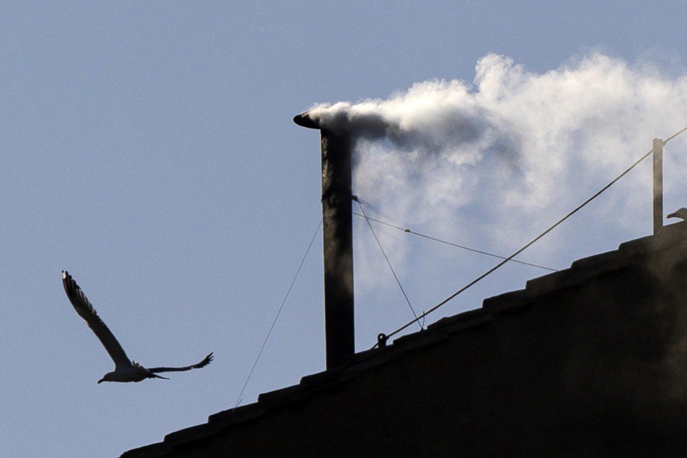 The white smoke from the Sistine Chapel chimney announced the election of the Pope on the second day of the conclave in the Vatican, 8 May 2025.