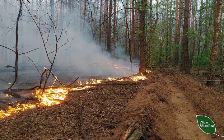 Russian shelling causes massive fires in Chernihiv Region