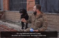 Ukrainian Witness tells video story of front-line dog that saved soldier's life