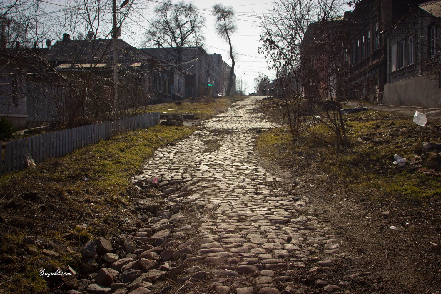 Brick paver on Zemska Street