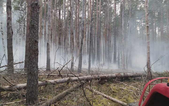 Firefighters extinguished five fires recorded in the Chornobyl zone