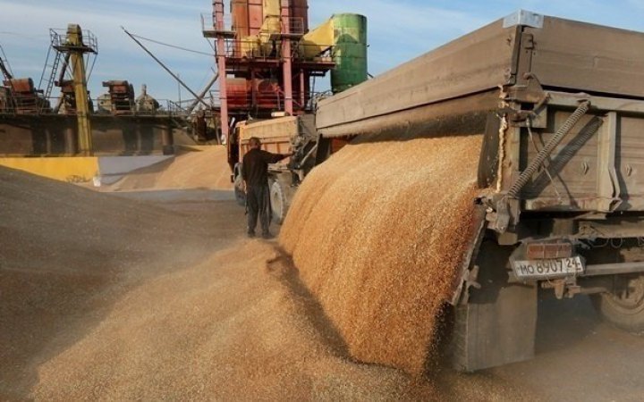 Latvia to Check Origins of Grain Shipments From Third Countries to Detect Stolen Ukrainian Produce