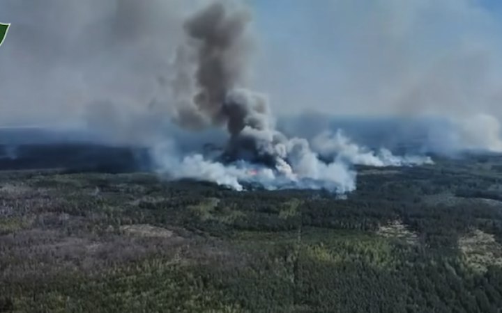 2400 hectares of forest burn near Russia border amid shelling, access blocked for foresters