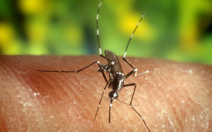 Greece Records Worst-Ever West Nile Virus Outbreak as Death Toll Reaches 30