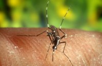 Greece Records Worst-Ever West Nile Virus Outbreak as Death Toll Reaches 30