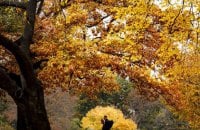 Warm, Sunny Thursday Forecast for Ukraine as Temperatures Rise to +24°C