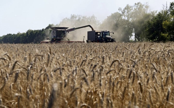 Bloomberg: Ukraine’s grain exports could drop 54% after Russian attacks on ports
