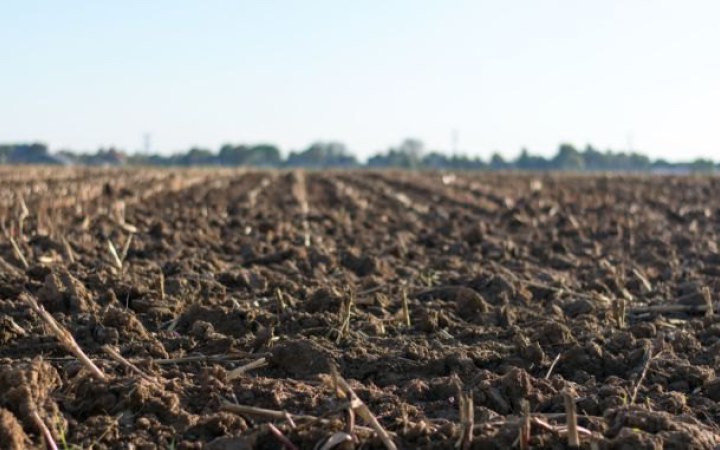 Agriculture Ministry: Average Price Per Hectare of Land in Ukraine Rises to UAH 70,200 in 2026