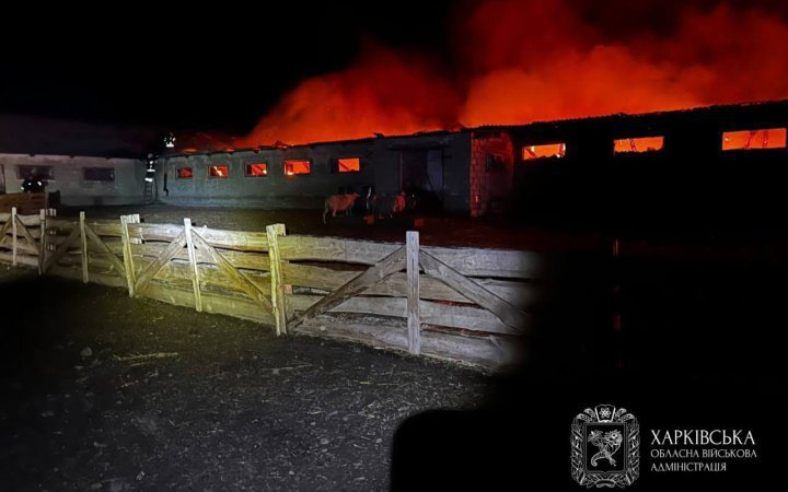 Russian Strikes Hit 11 Settlements in Kharkiv Region, Woman Killed