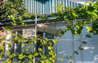 One Killed and 16 Injured in Russian Attacks on Kherson Region