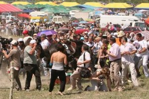 Во время скачек в Крыму лошадь врезалась в толпу людей