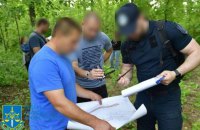 На Одещині посадовця лісового господарства підозрюють у незаконній порубці лісу Національного парку на 79 млн грн