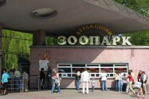 ​Слоны в Киевском зоопарке появятся после ремонта слоновника