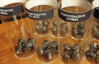Евролига: Результаты жеребьевки