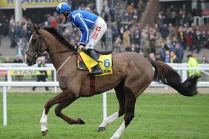 На Grand National-2013 погибла еще одна лошадь