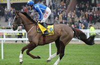 На Grand National-2013 погибла еще одна лошадь
