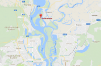 На острове под Киевом нашли плантацию конопли