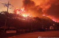 Унаслідок масштабних лісових пожеж у Південний Кореї загинули 24 людини