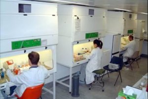 Заболеваемость украинцев острыми кишечными инфекциями выросла на треть