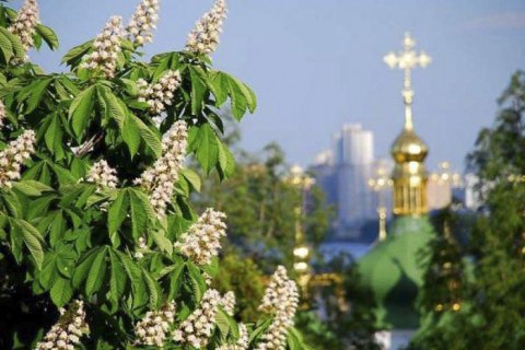 В пятницу в Киеве без осадков, до +19