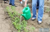 В Киевском ботсаду появятся ульи и колодцы